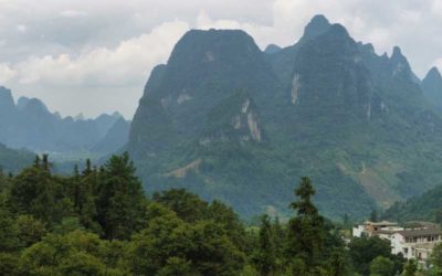 官方網站已開通